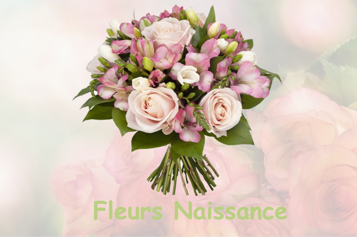 fleurs naissance SAINT-FRANC